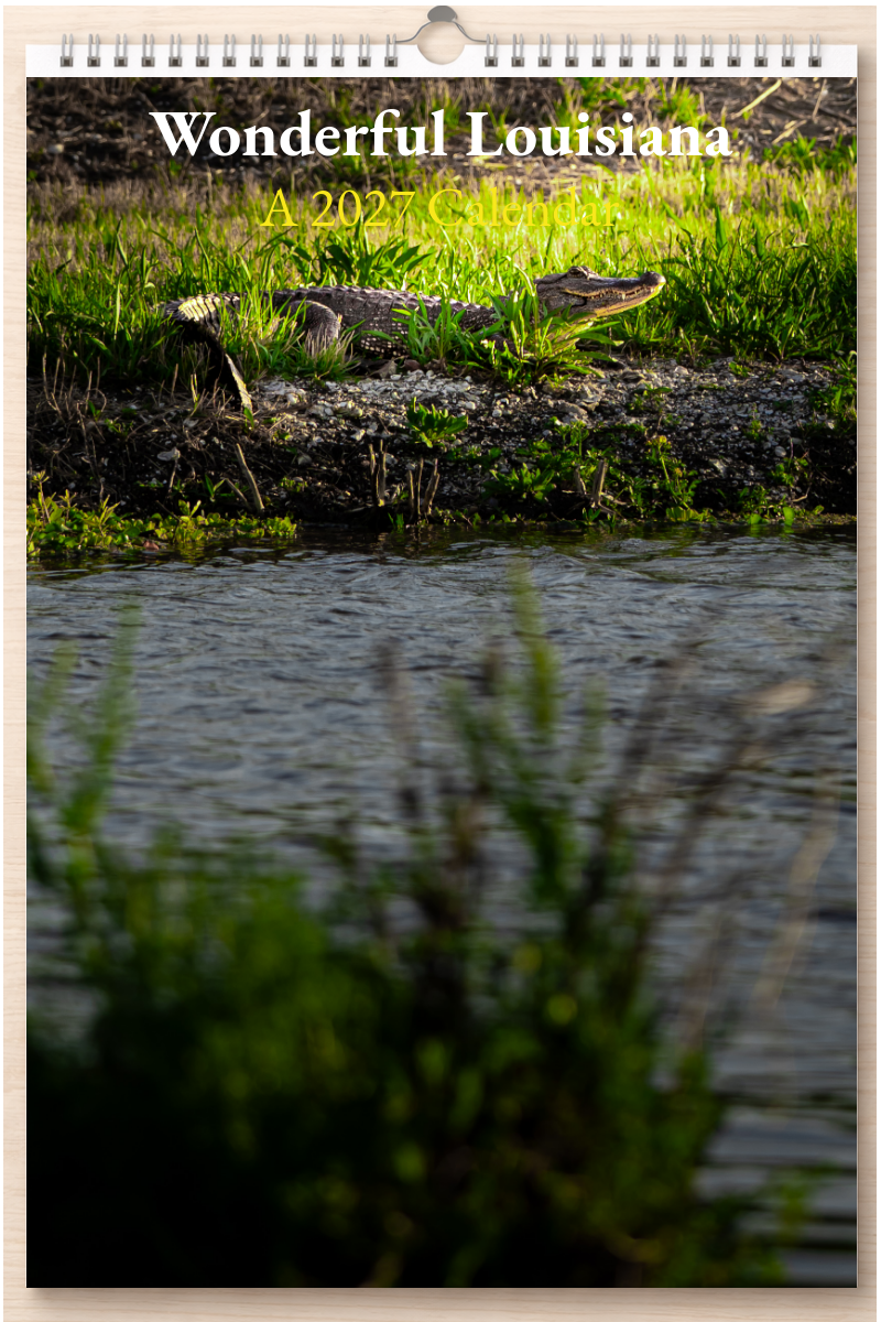 Wonderful Louisiana: A 2027 Calendar