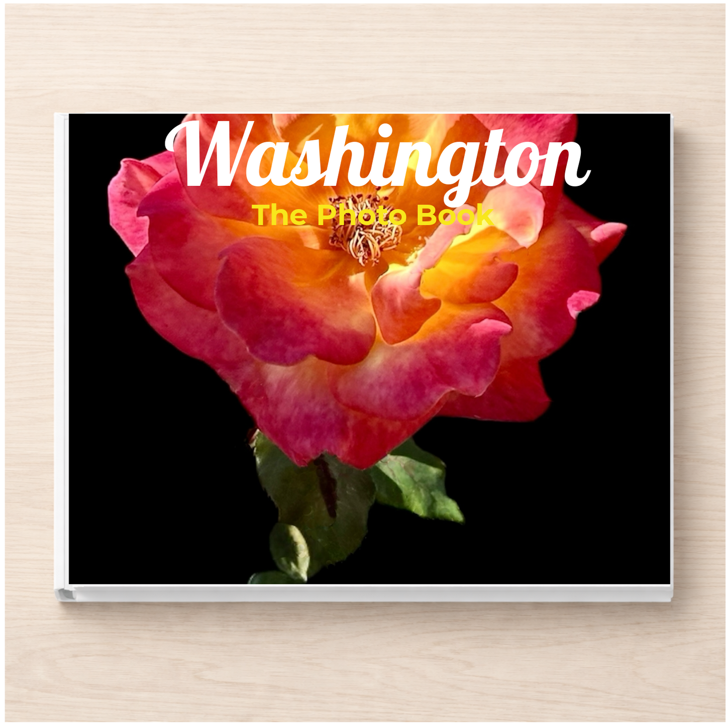 Washington: The Photo Book