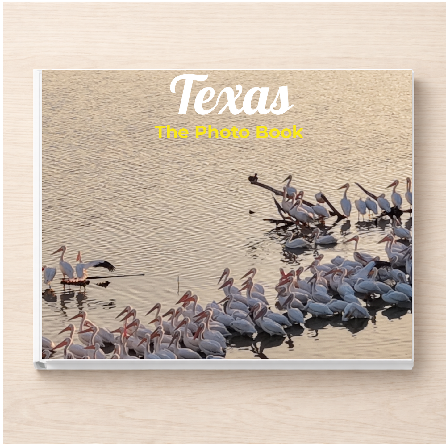 Texas: The Photo Book
