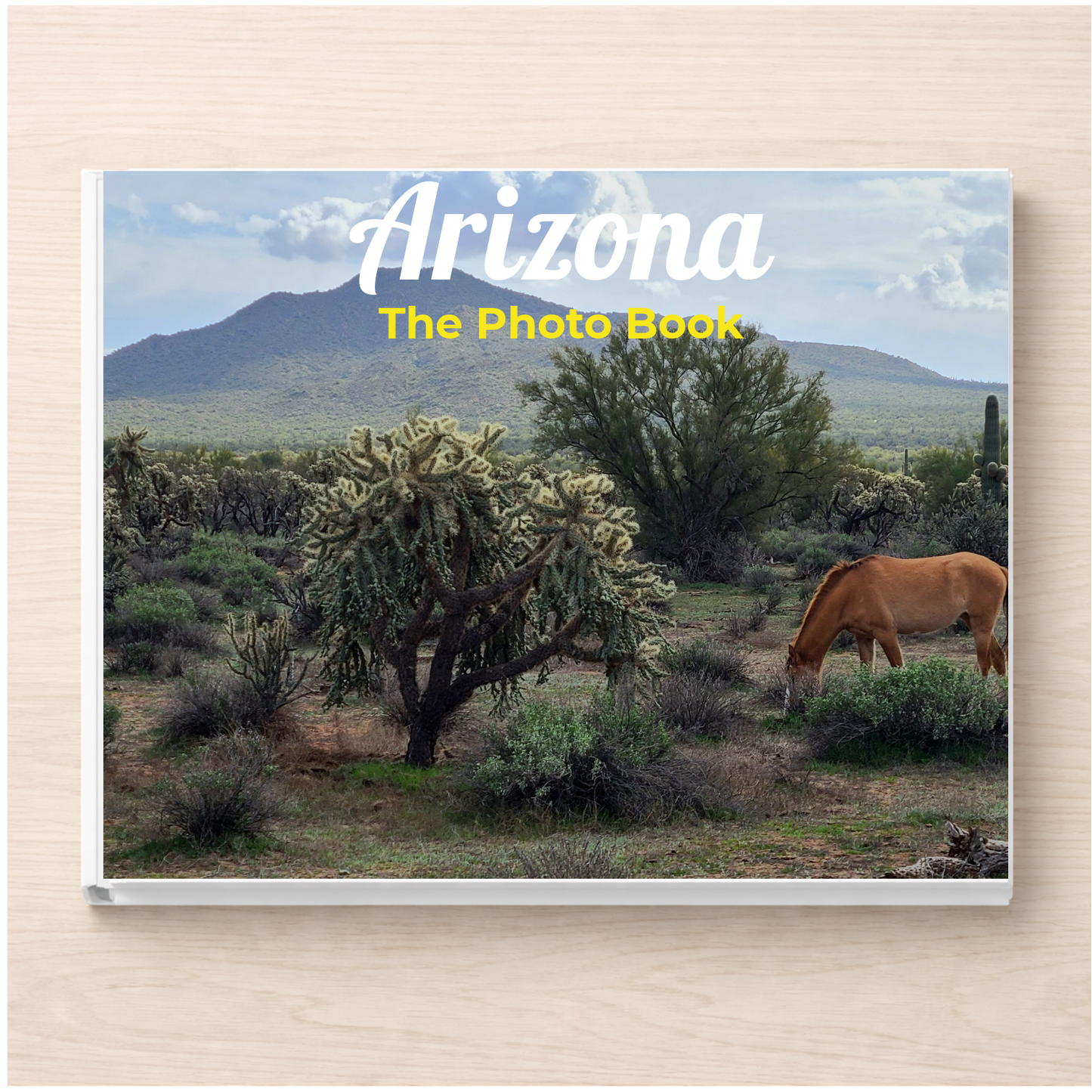 Arizona: The Photo Book