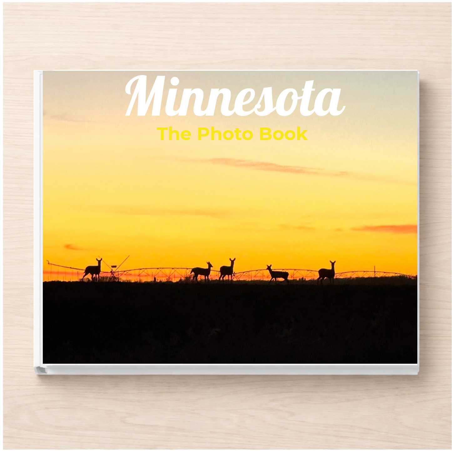 Minnesota: The Photo Book