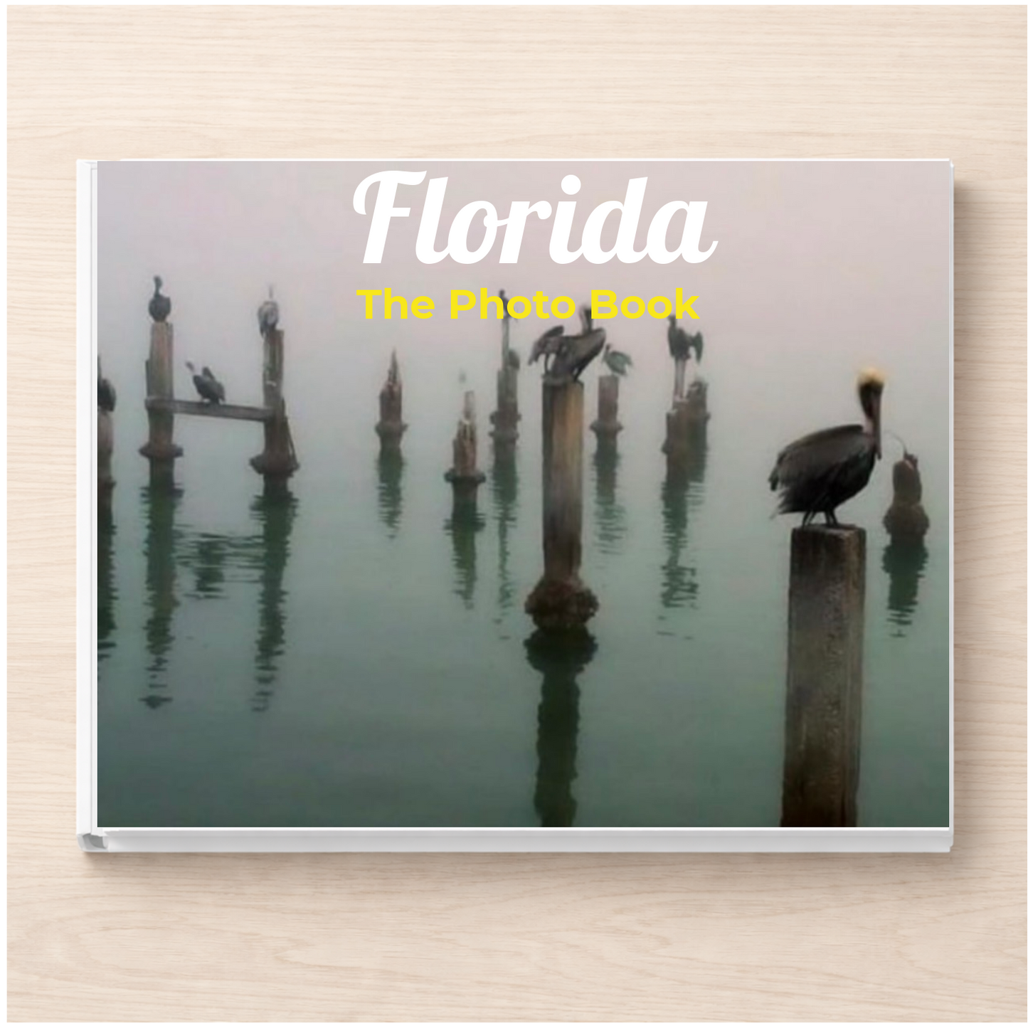 Florida: The Photo Book