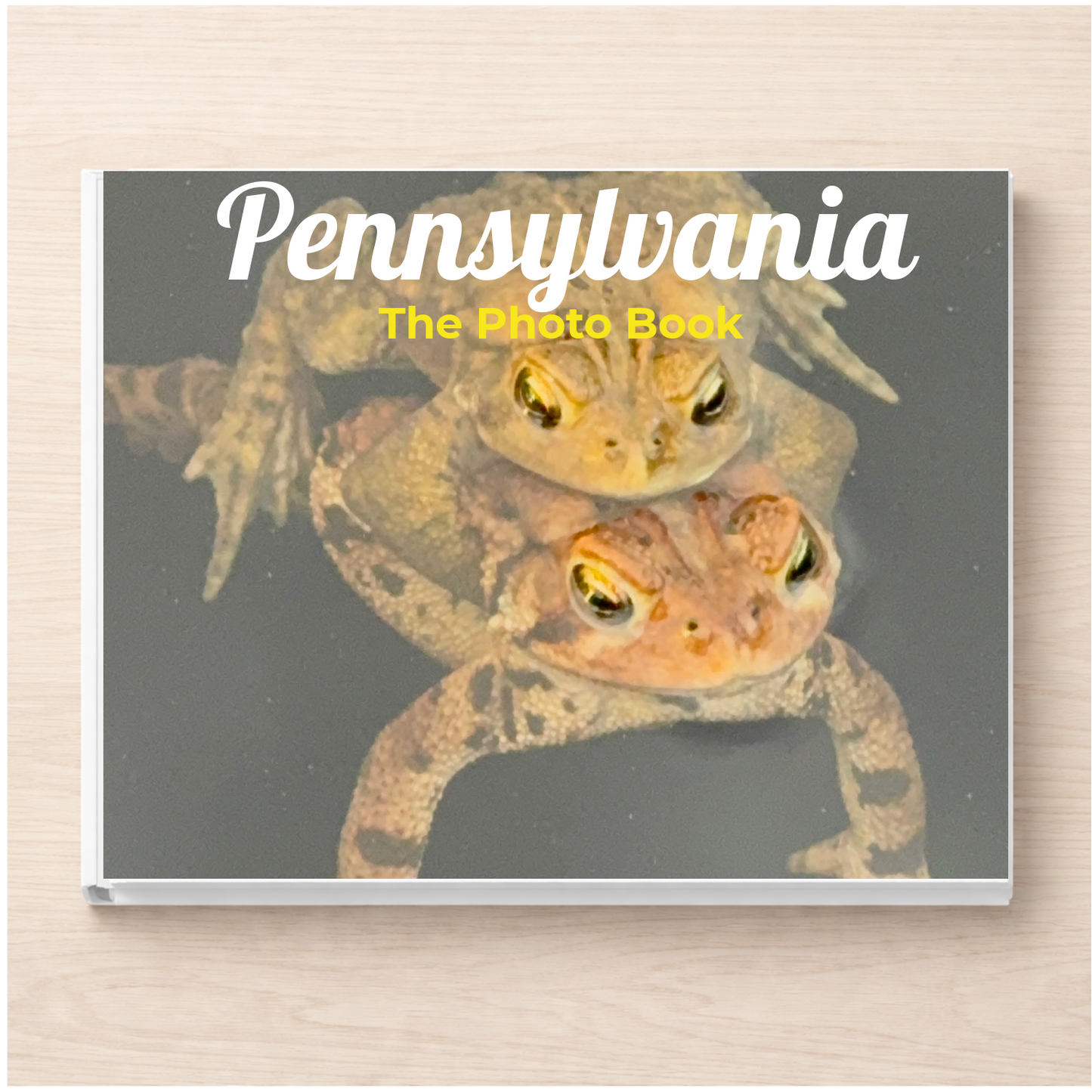 Pennsylvania: The Photo Book