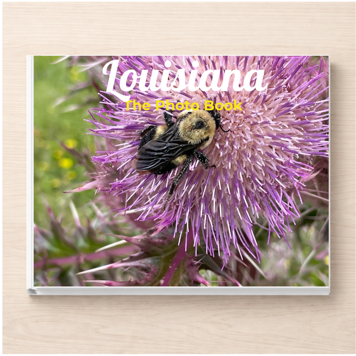 Louisiana: The Photo Book