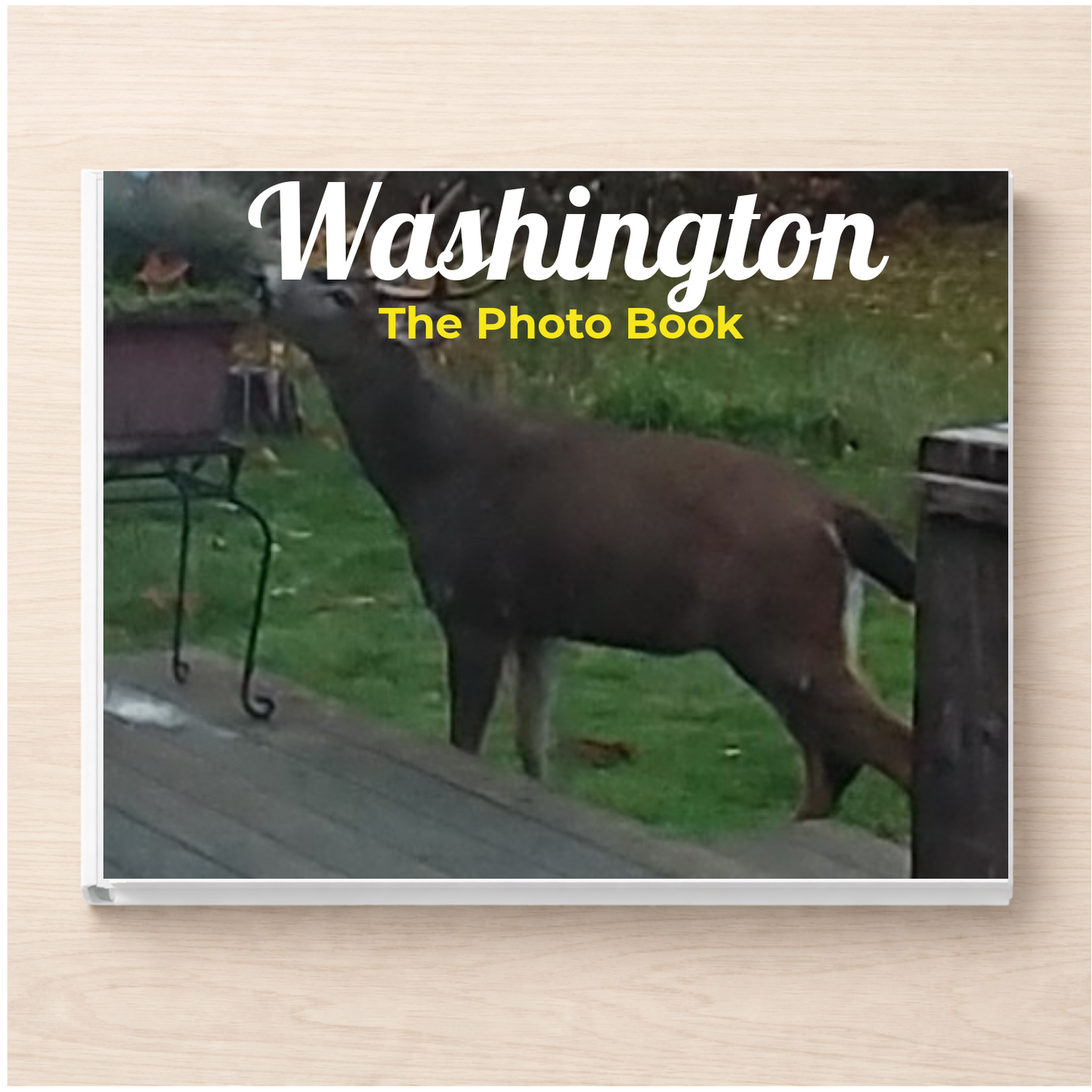 Washington: The Photo Book