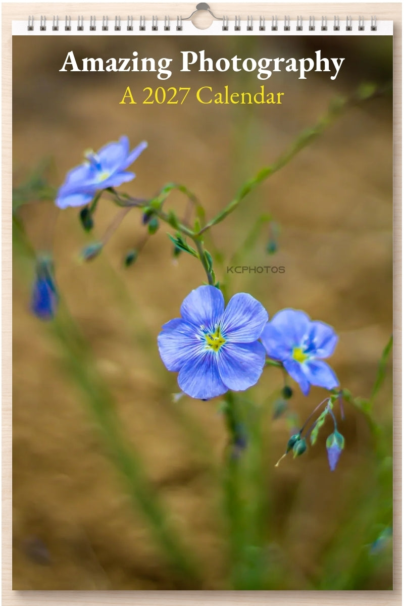 Amazing Photography: A 2027 Calendar
