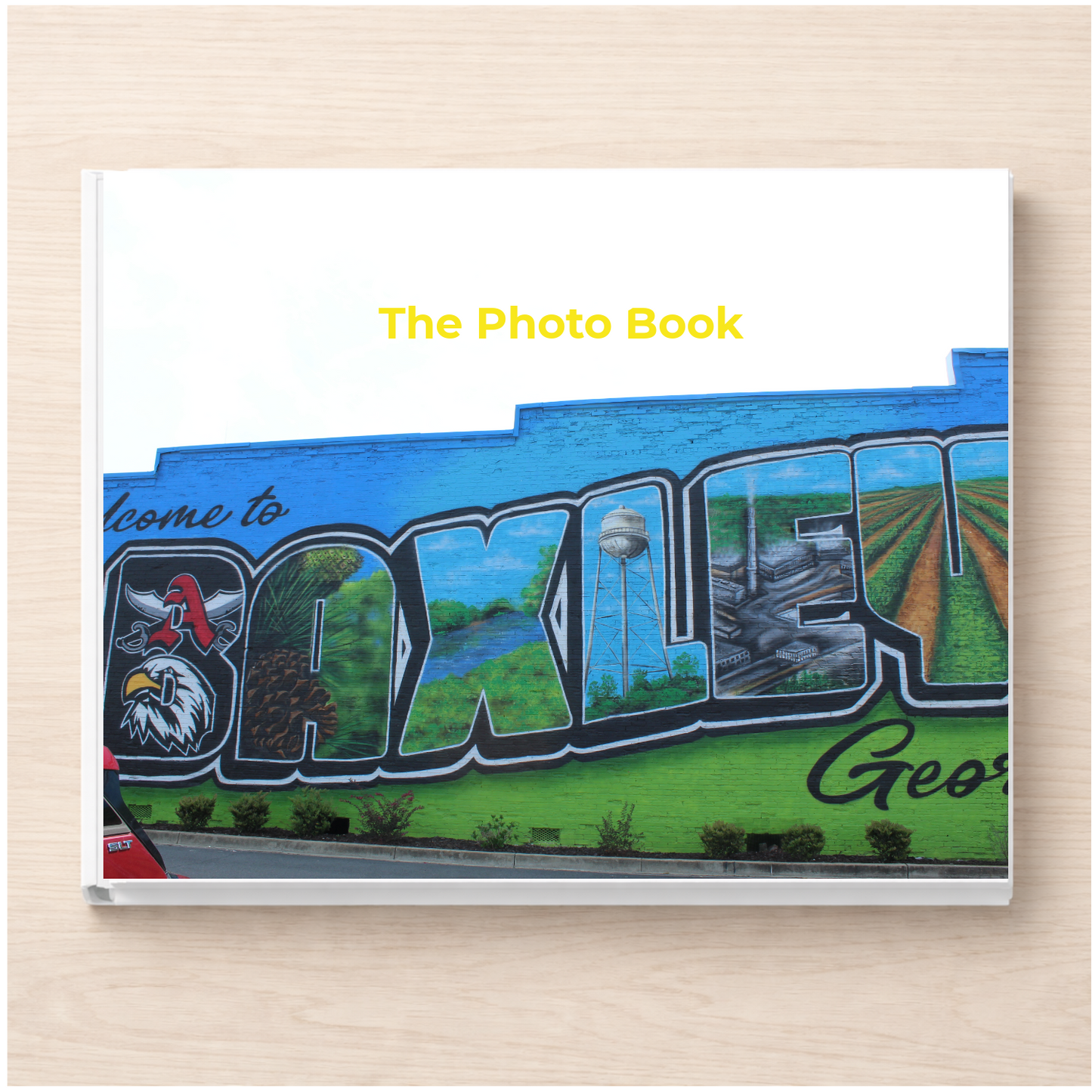 Georgia: The Photo Book