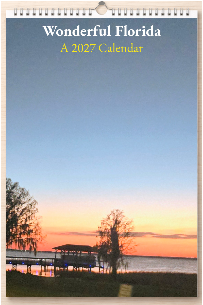 Wonderful Florida: A 2027 Calendar