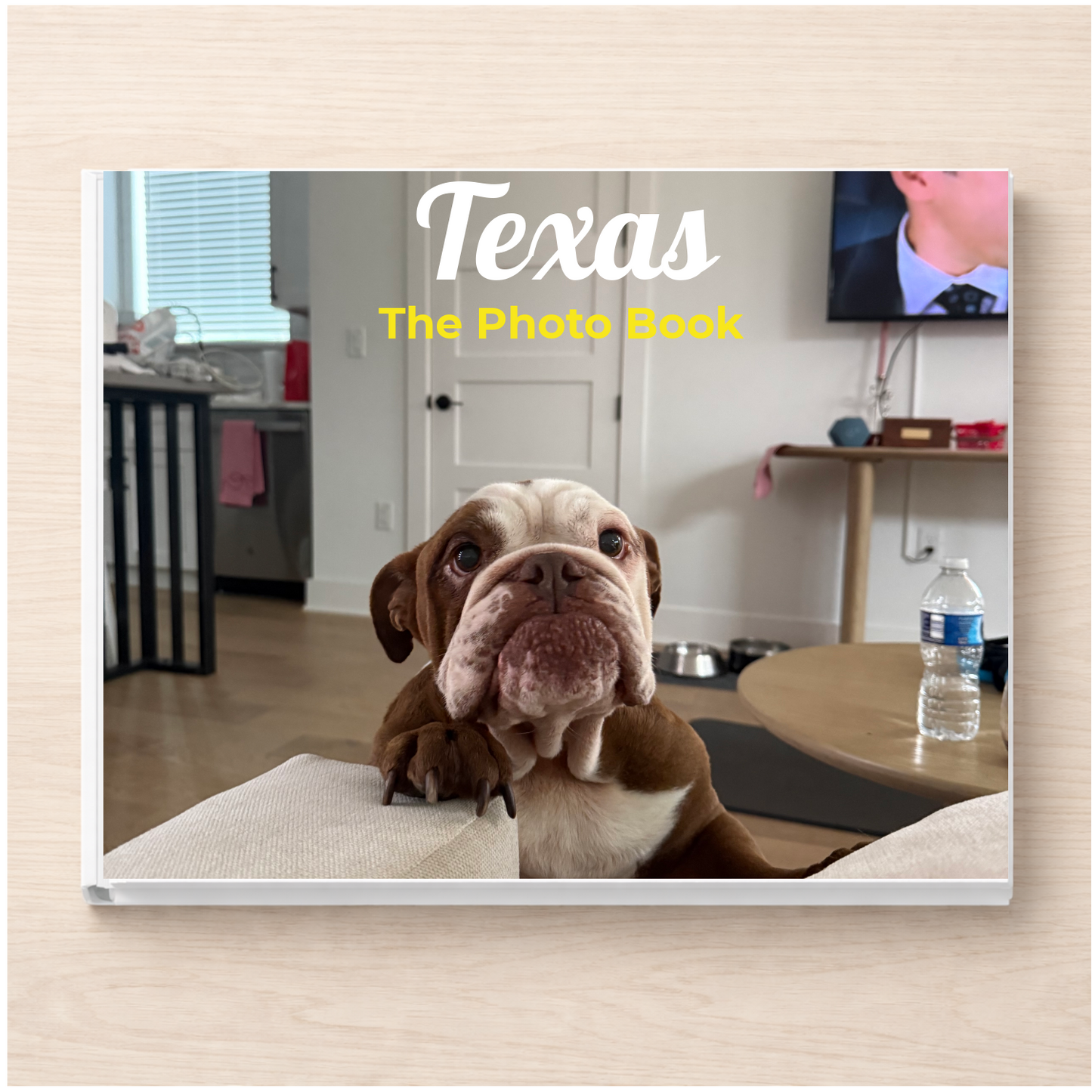 Texas: The Photo Book