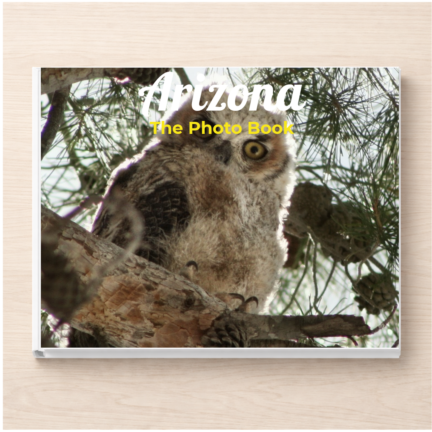 Arizona: The Photo Book