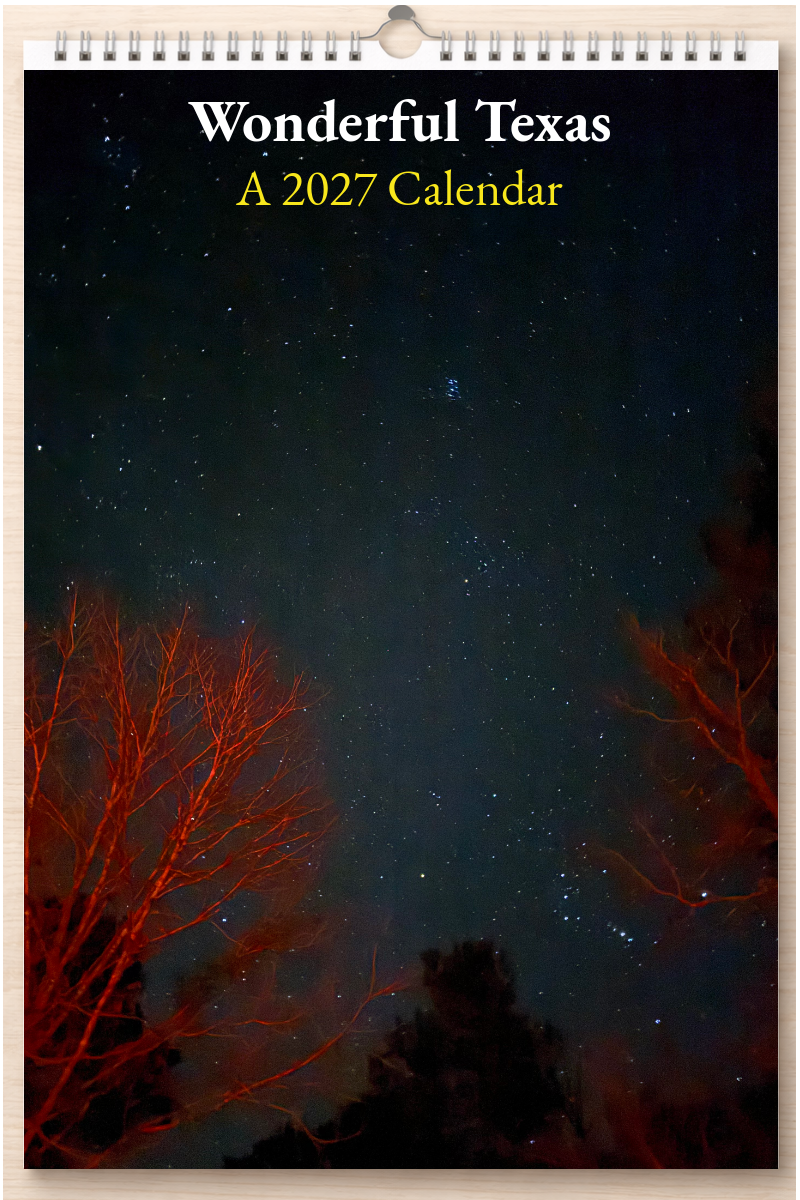 Wonderful Texas: A 2027 Calendar
