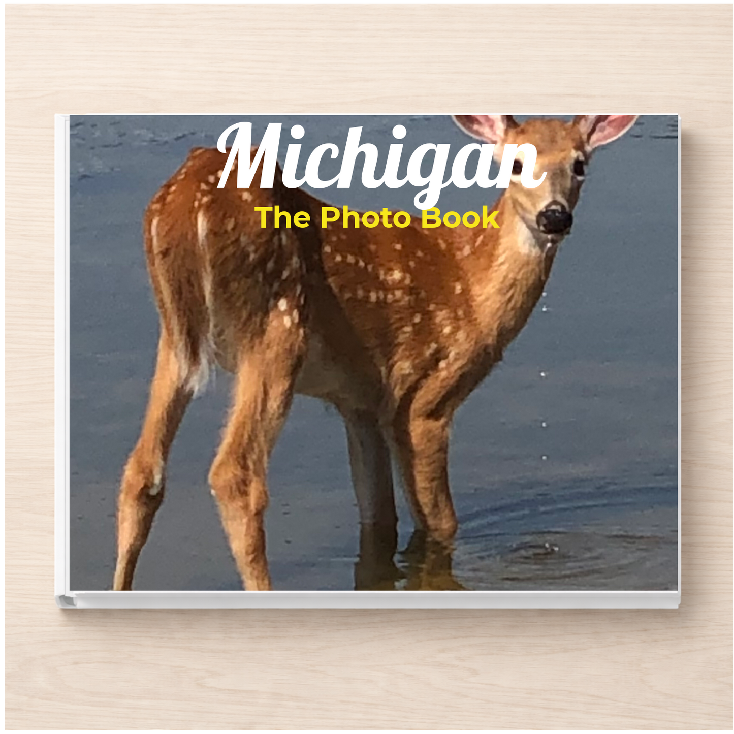 Michigan: The Photo Book