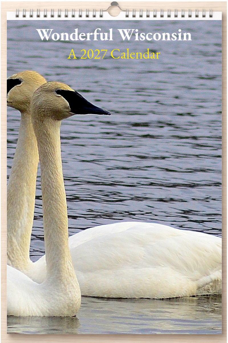 Wonderful Wisconsin: A 2027 Calendar