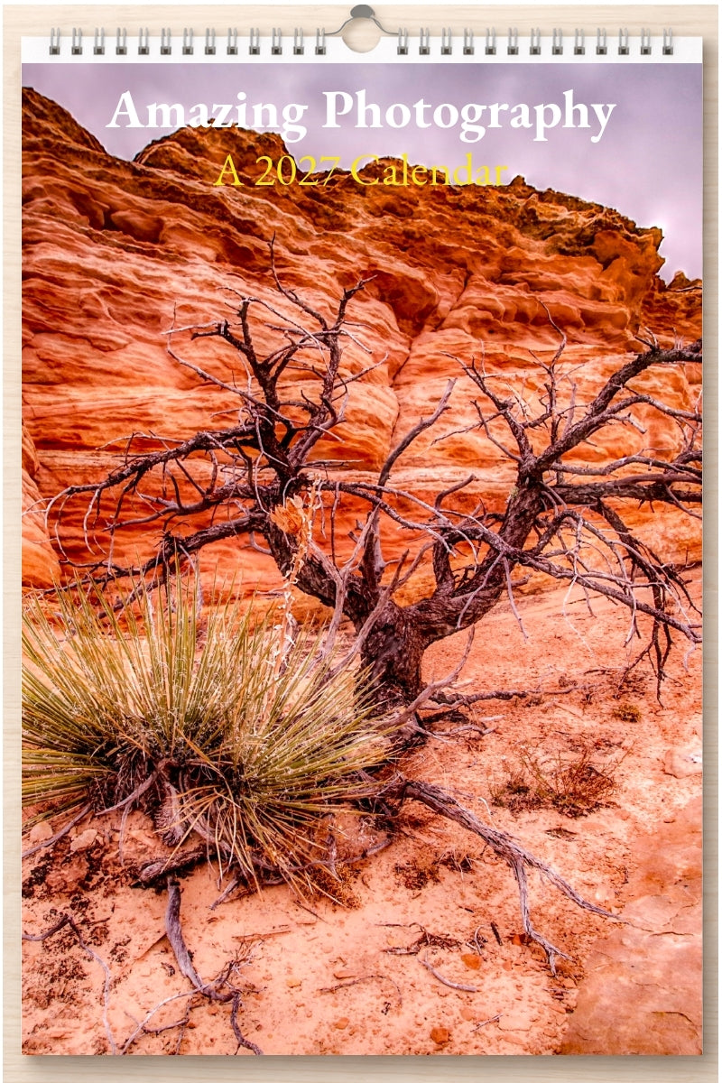 Amazing Photography: A 2027 Calendar