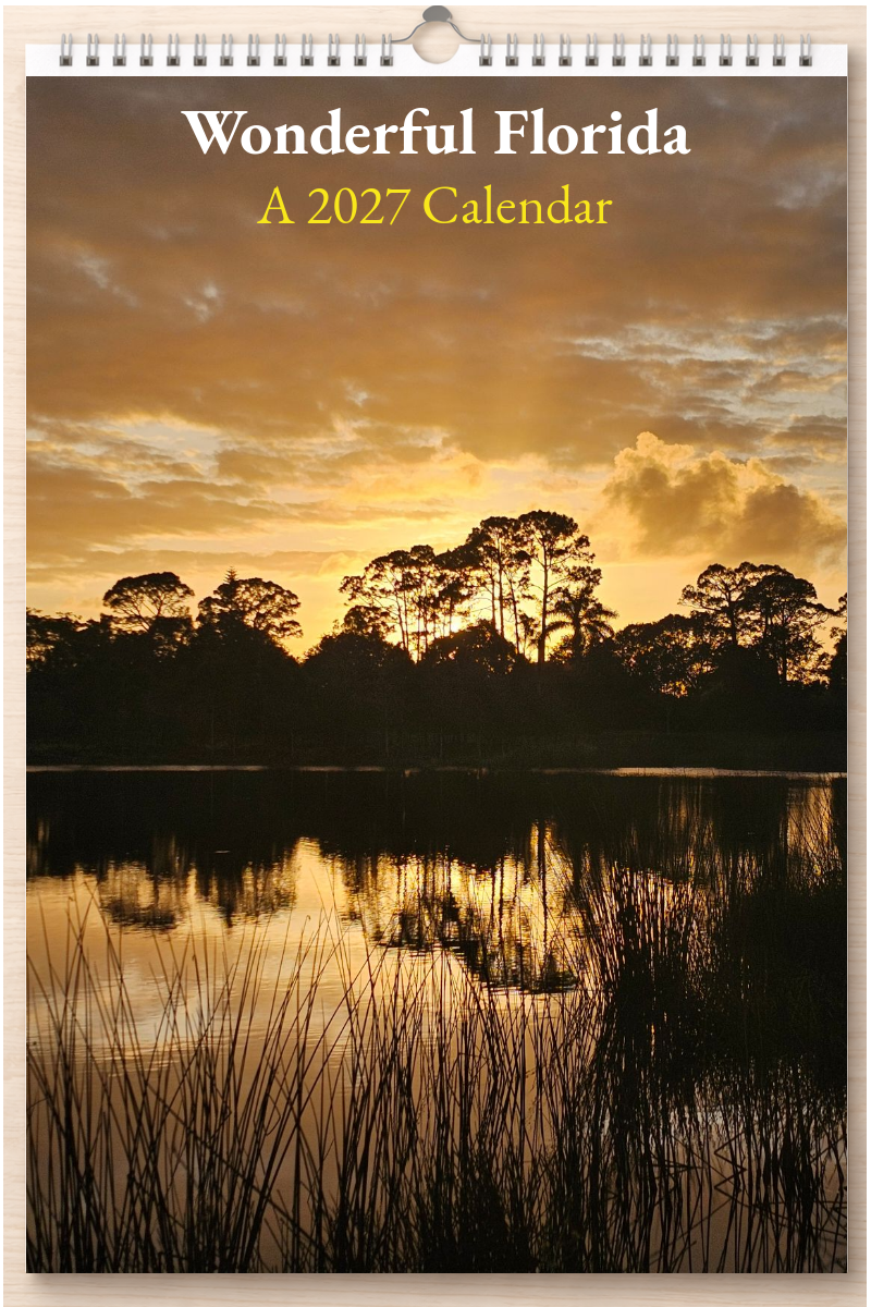 Wonderful Florida: A 2027 Calendar
