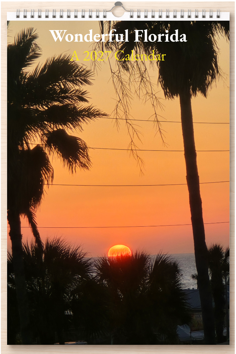 Wonderful Florida: A 2027 Calendar