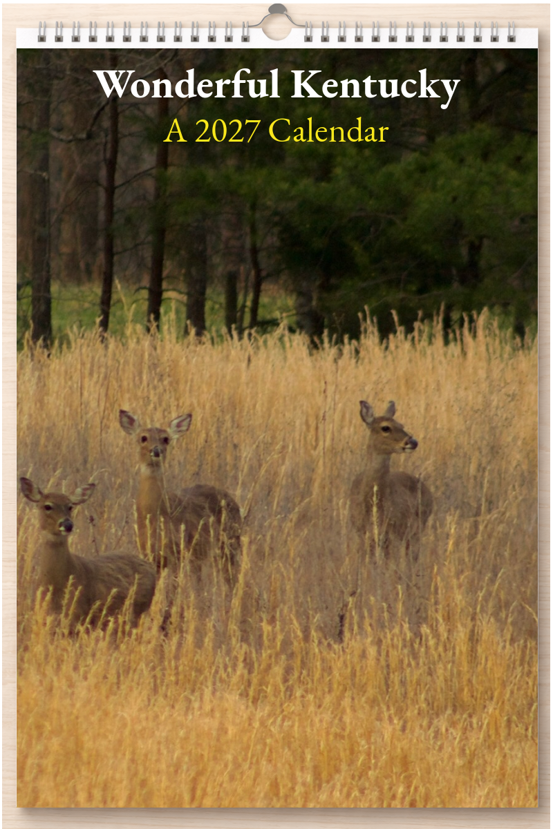 Wonderful Kentucky: A 2027 Calendar