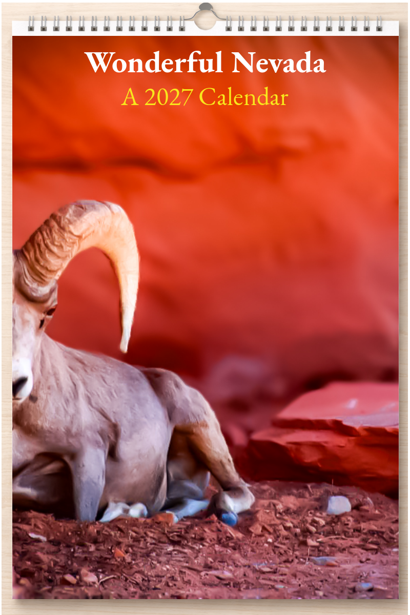 Wonderful Nevada: A 2027 Calendar