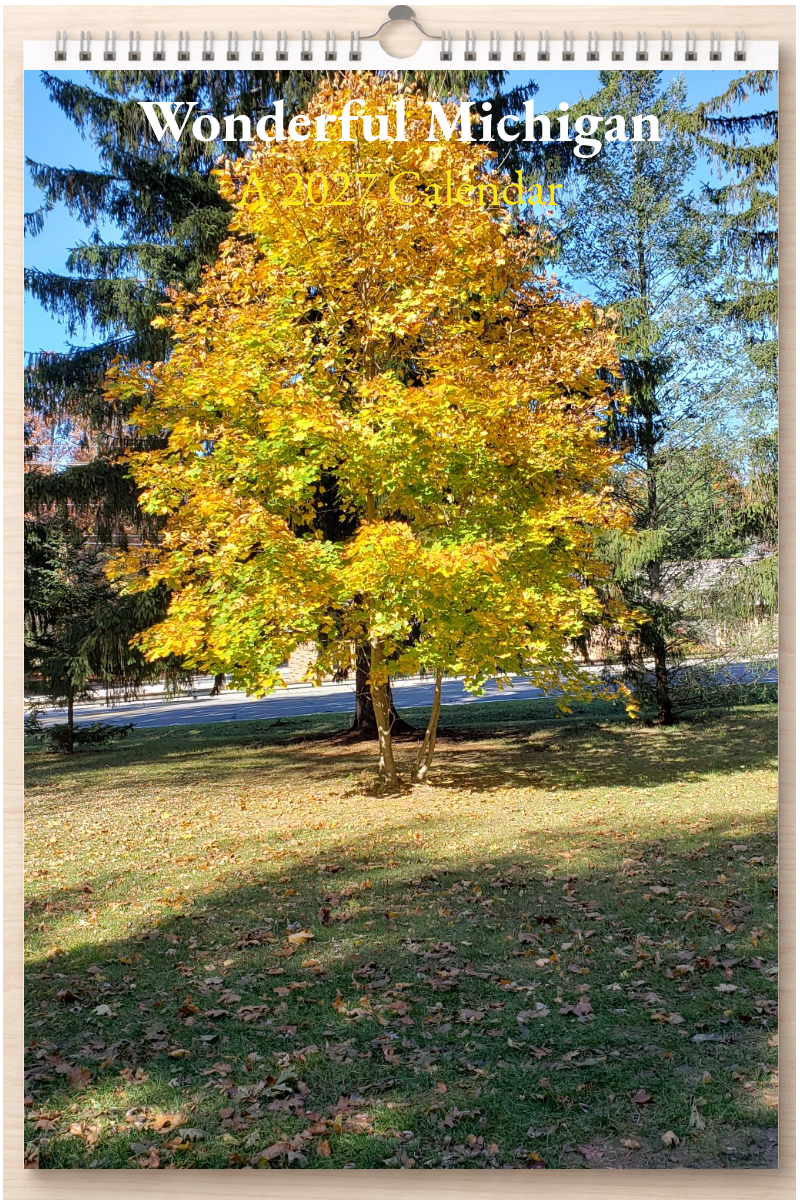 Wonderful Michigan: A 2027 Calendar
