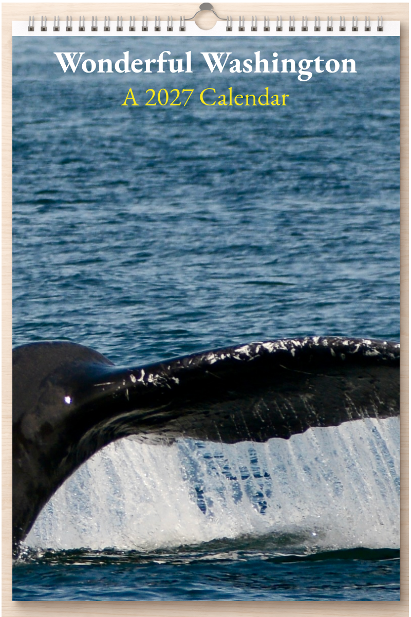 Wonderful Washington: A 2027 Calendar