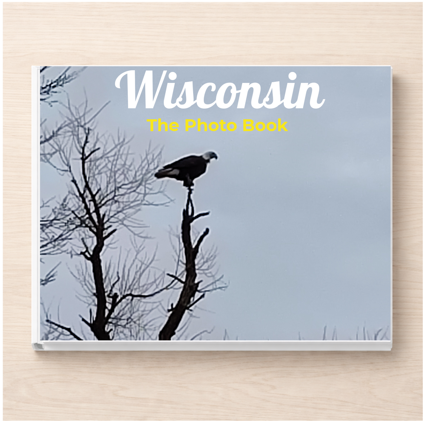 Wisconsin: The Photo Book