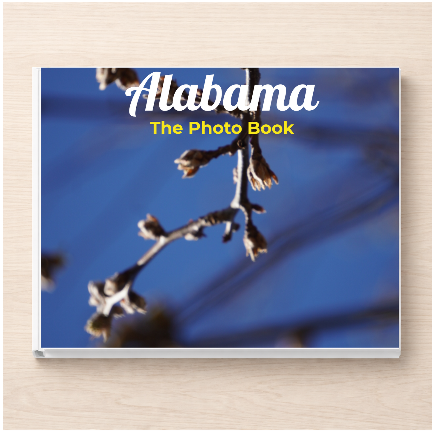 Alabama: The Photo Book