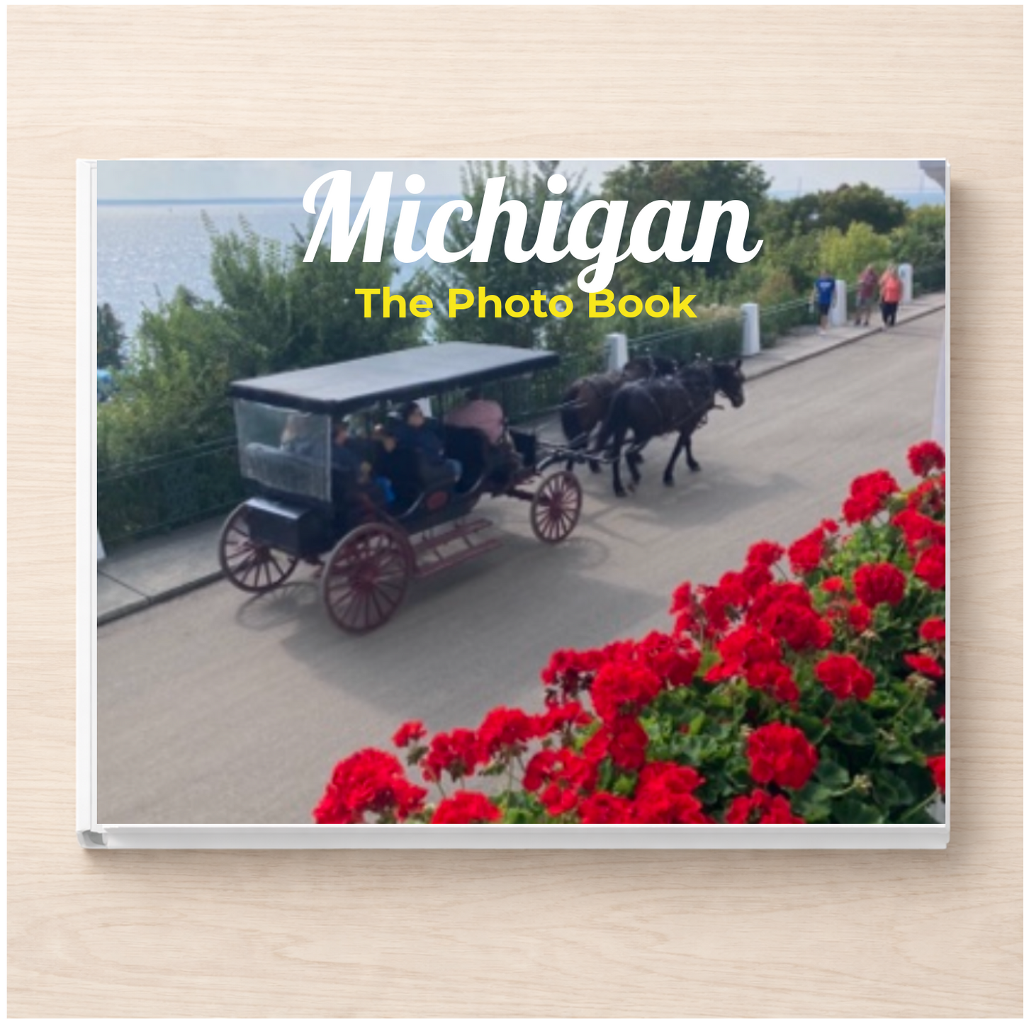 Michigan: The Photo Book