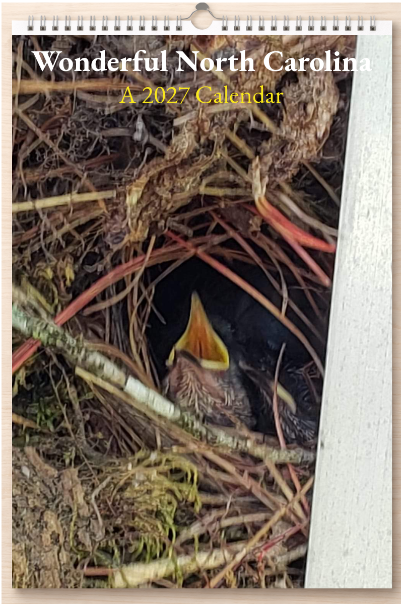 Wonderful North Carolina: A 2027 Calendar