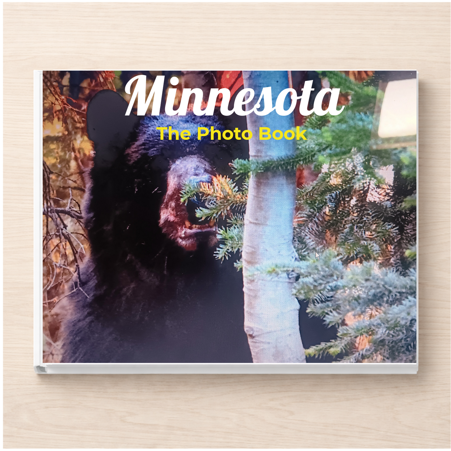 Minnesota: The Photo Book