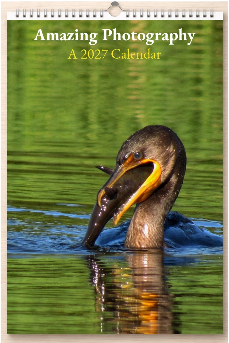 Amazing Photography: A 2027 Calendar