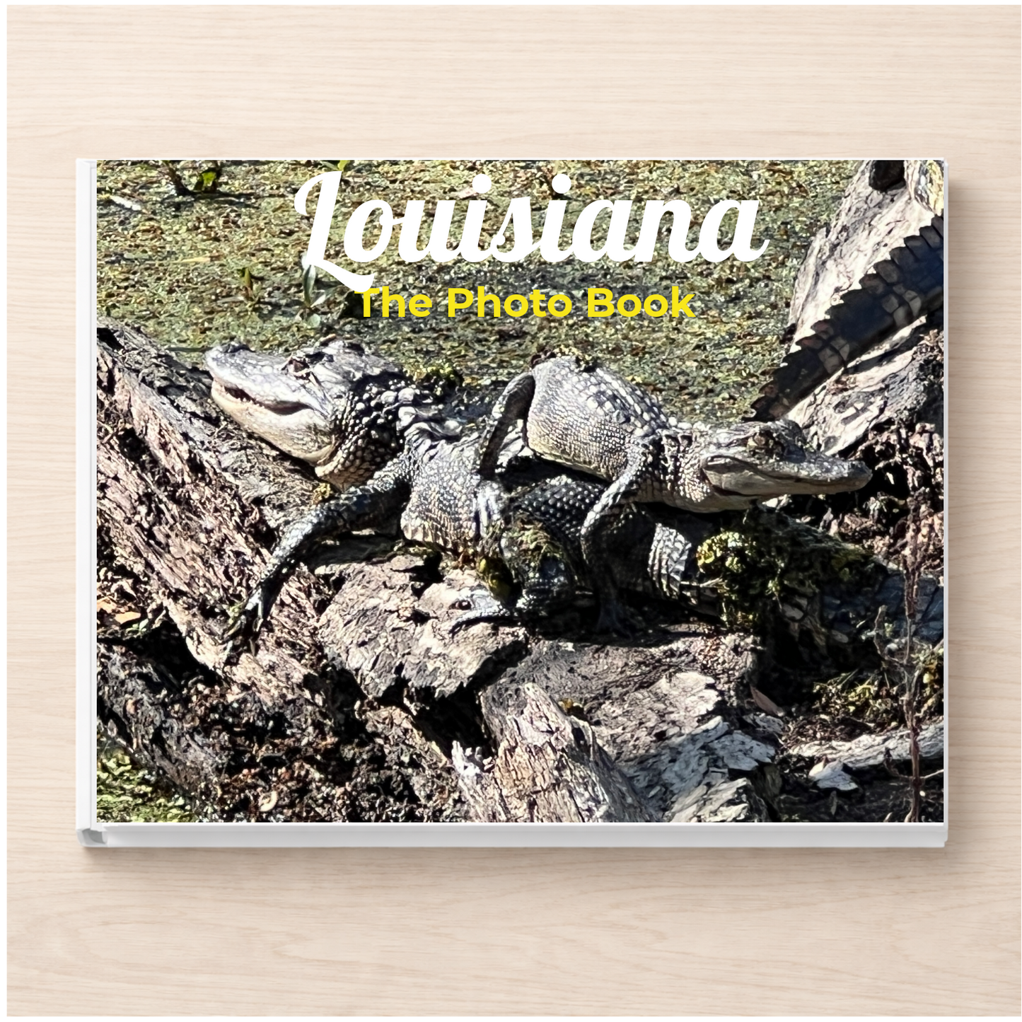 Louisiana: The Photo Book