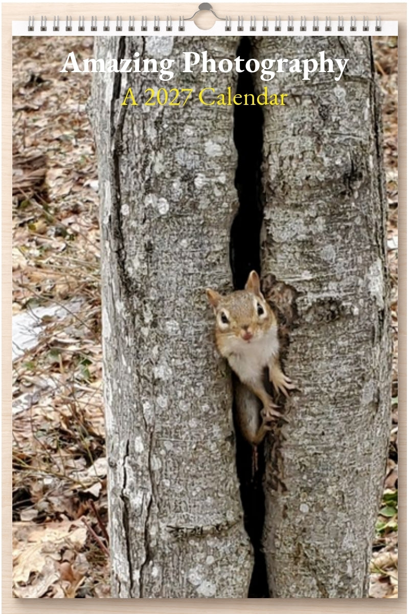 Amazing Photography: A 2027 Calendar