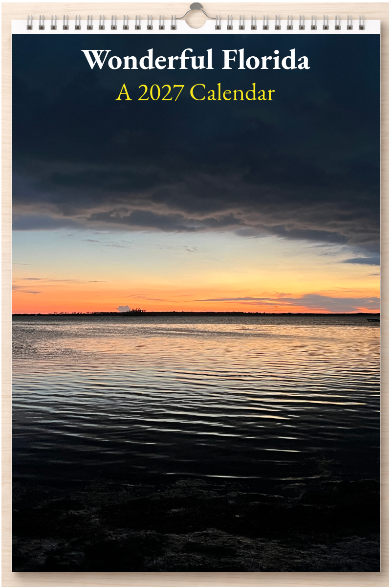 Wonderful Florida: A 2027 Calendar
