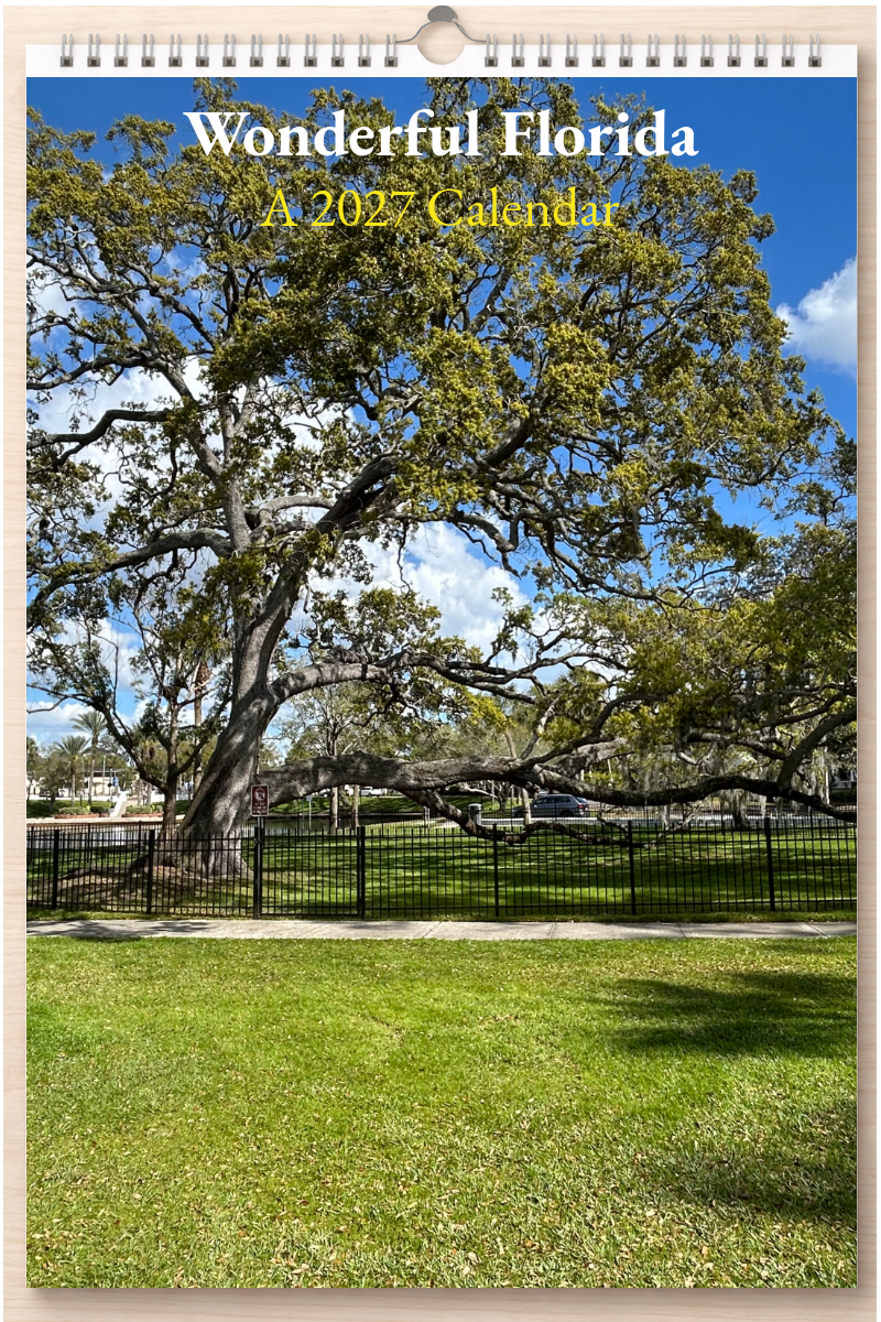 Wonderful Florida: A 2027 Calendar