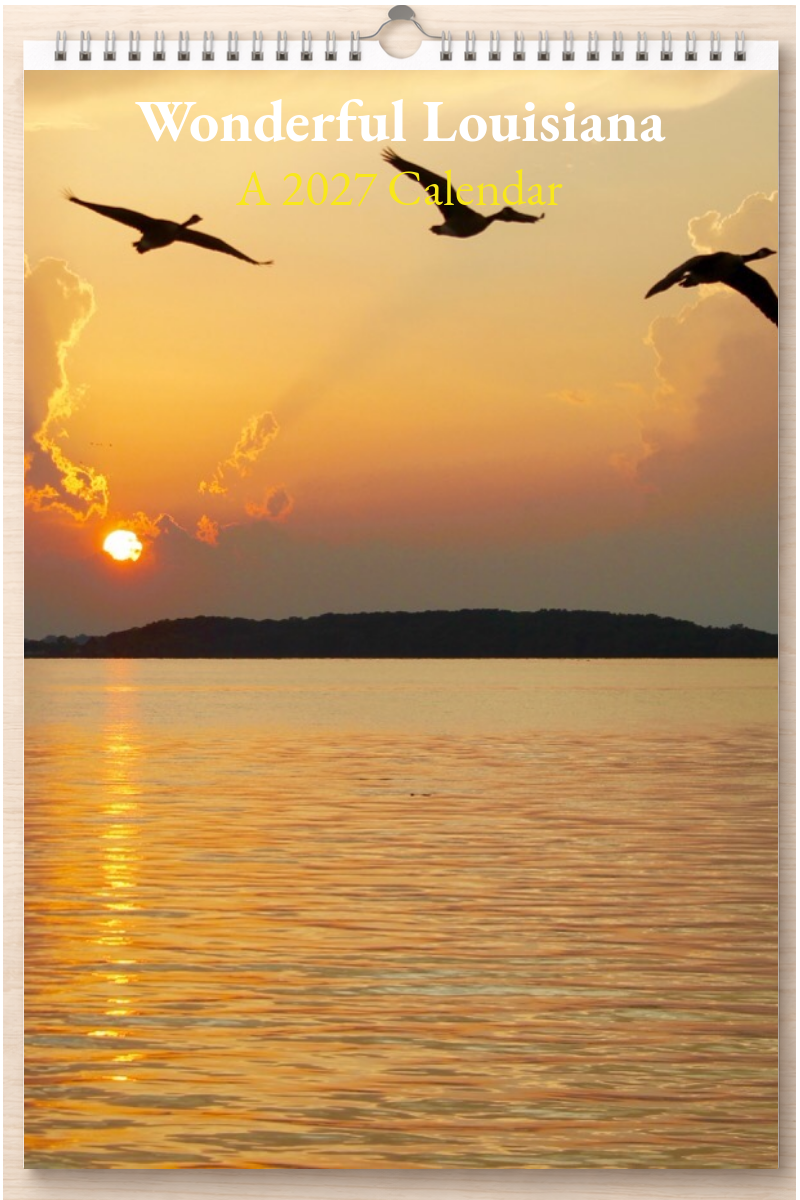 Wonderful Louisiana: A 2027 Calendar