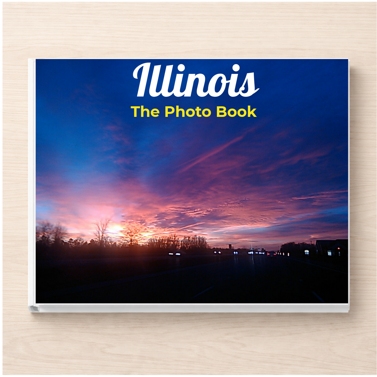 Illinois: The Photo Book
