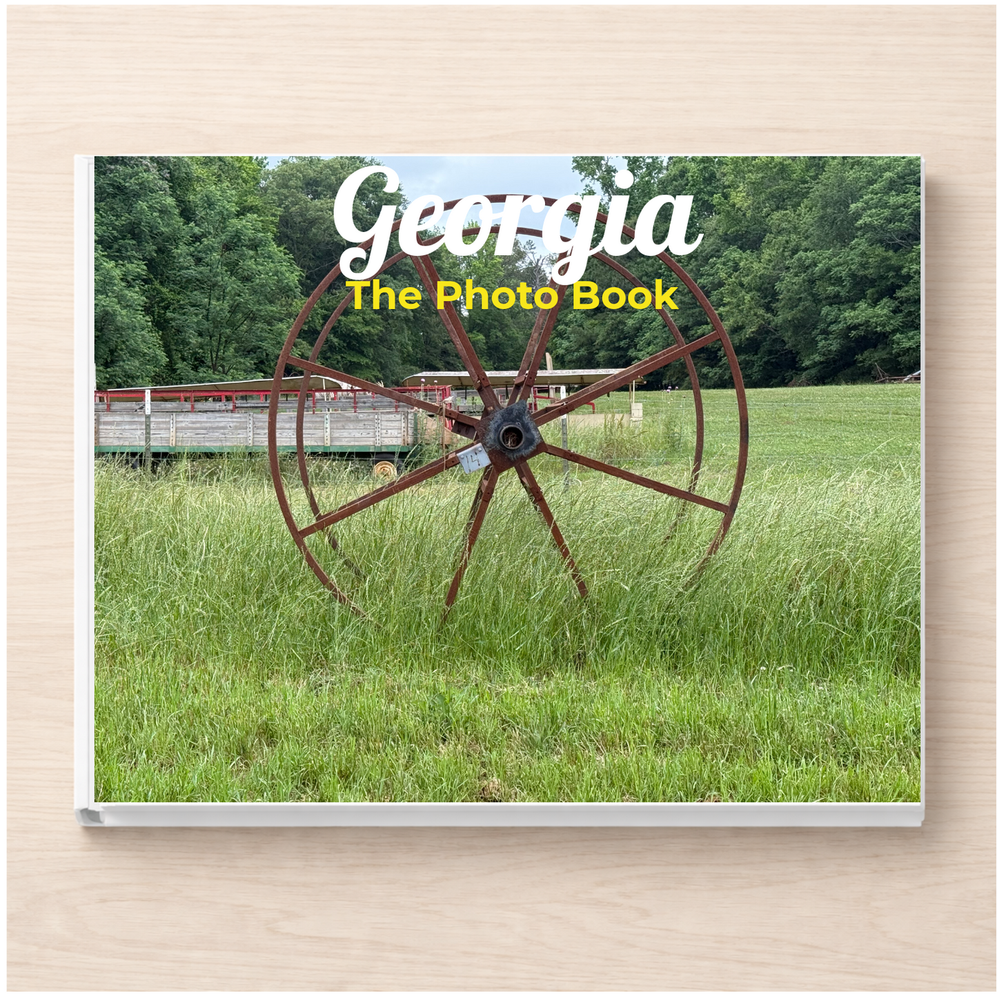 Georgia: The Photo Book