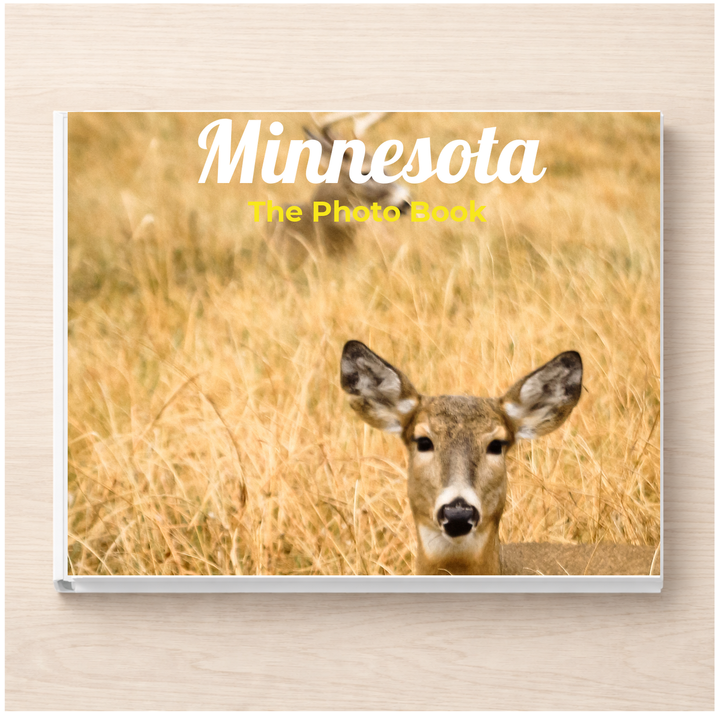Minnesota: The Photo Book