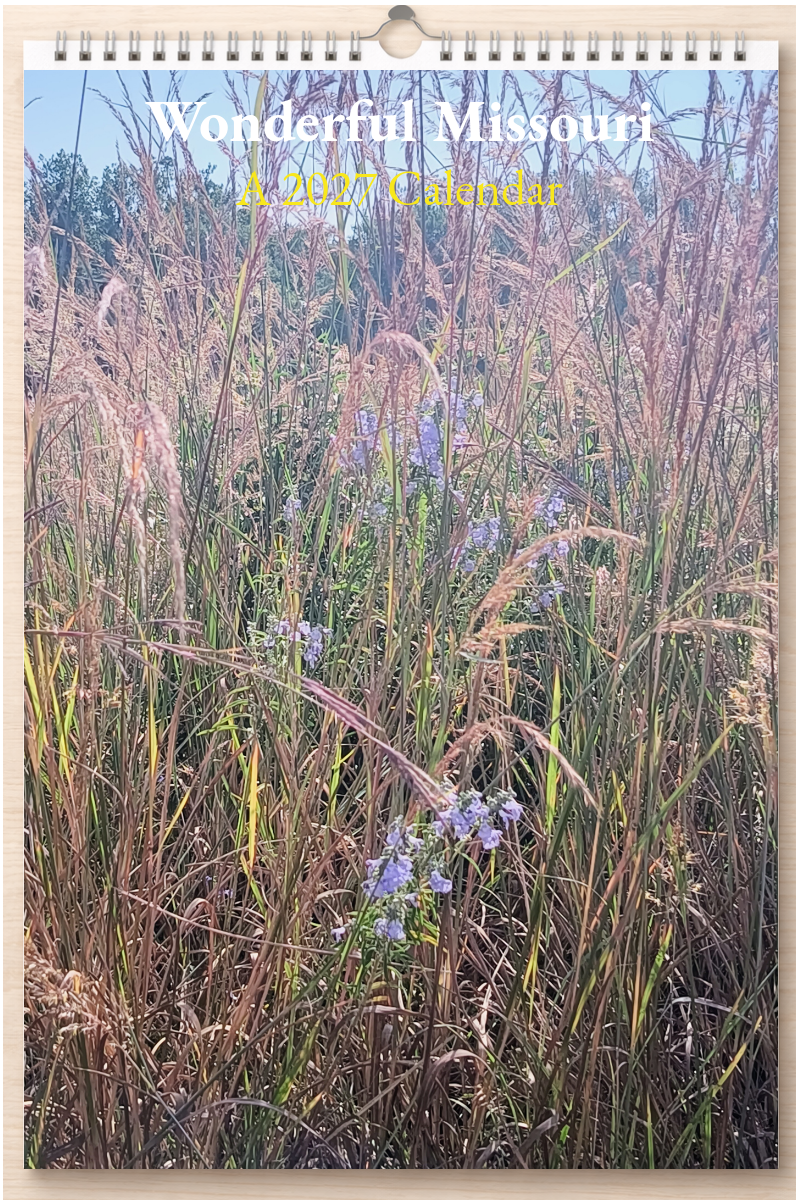 Wonderful Missouri: A 2027 Calendar