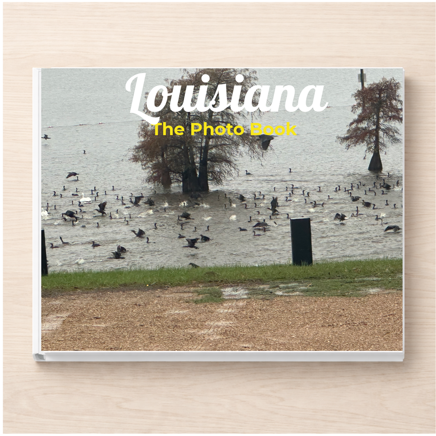 Louisiana: The Photo Book