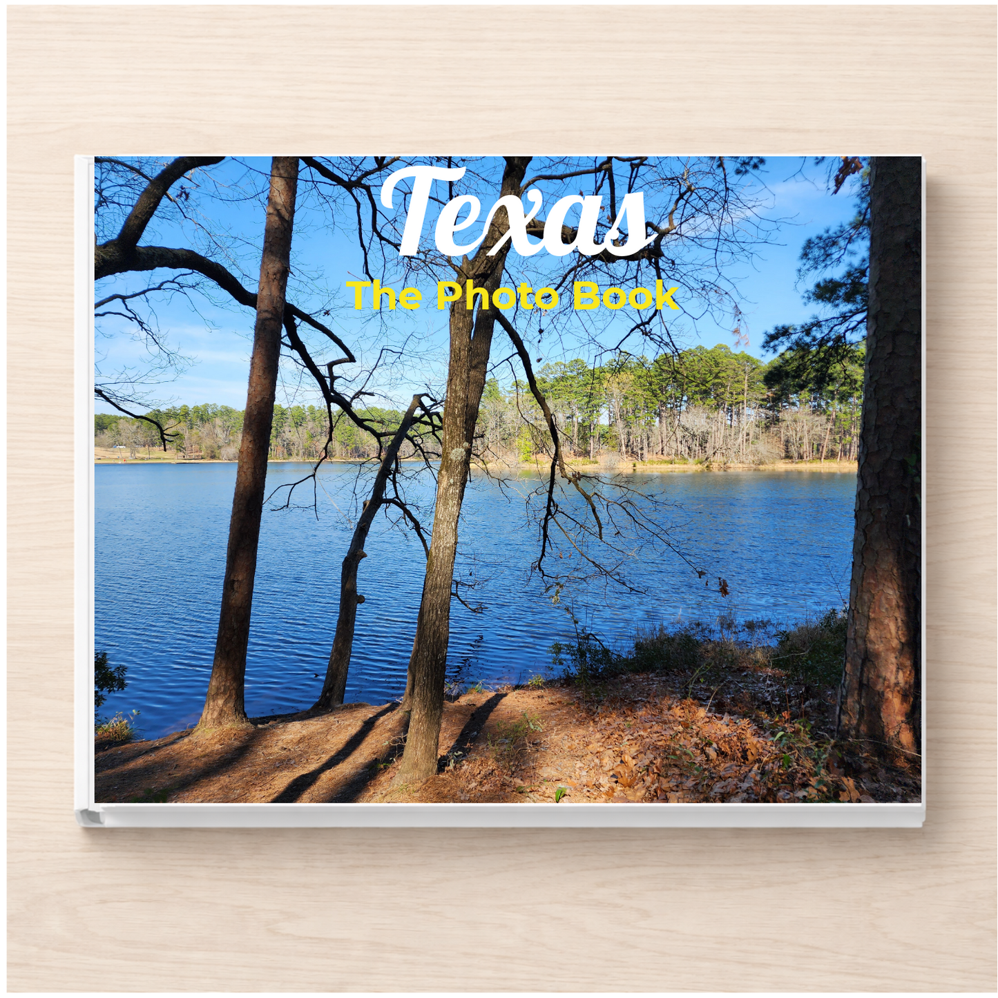 Texas: The Photo Book