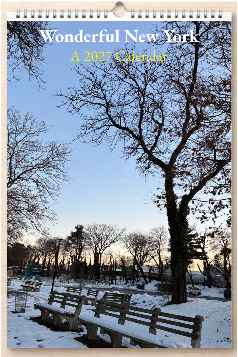 Wonderful New York: A 2027 Calendar
