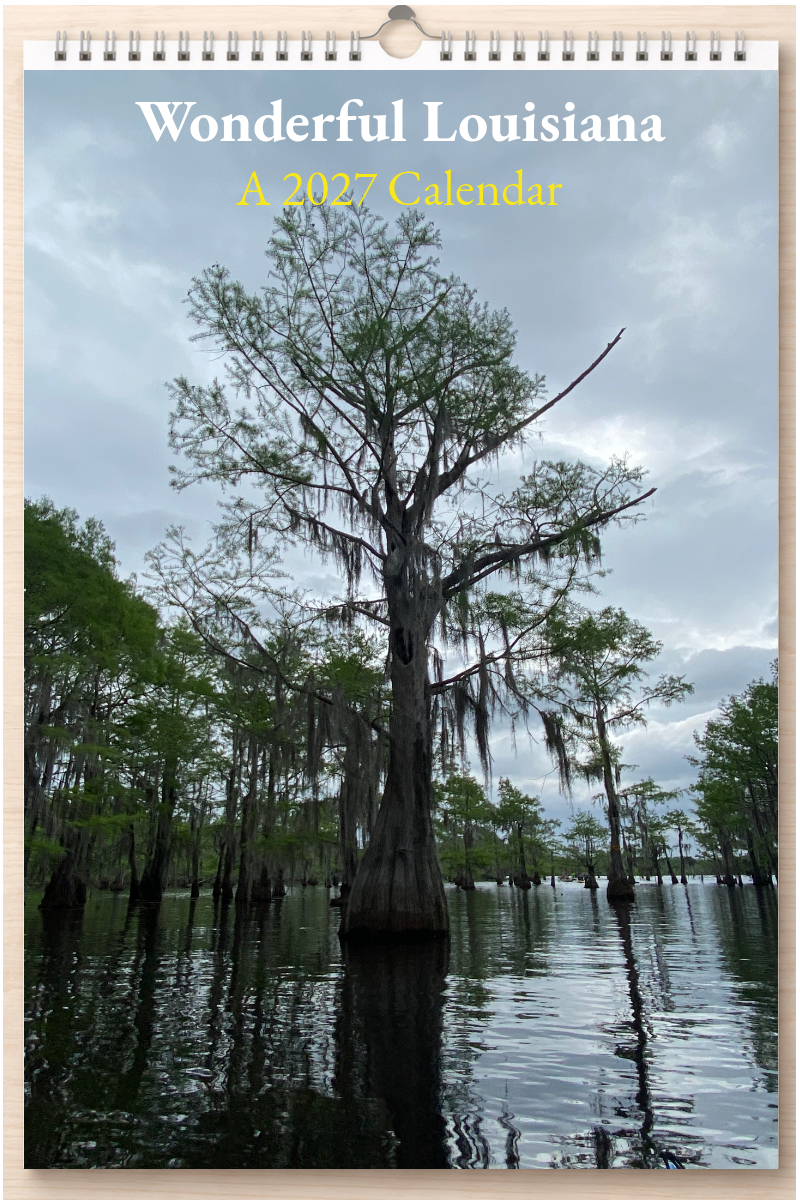 Wonderful Louisiana: A 2027 Calendar