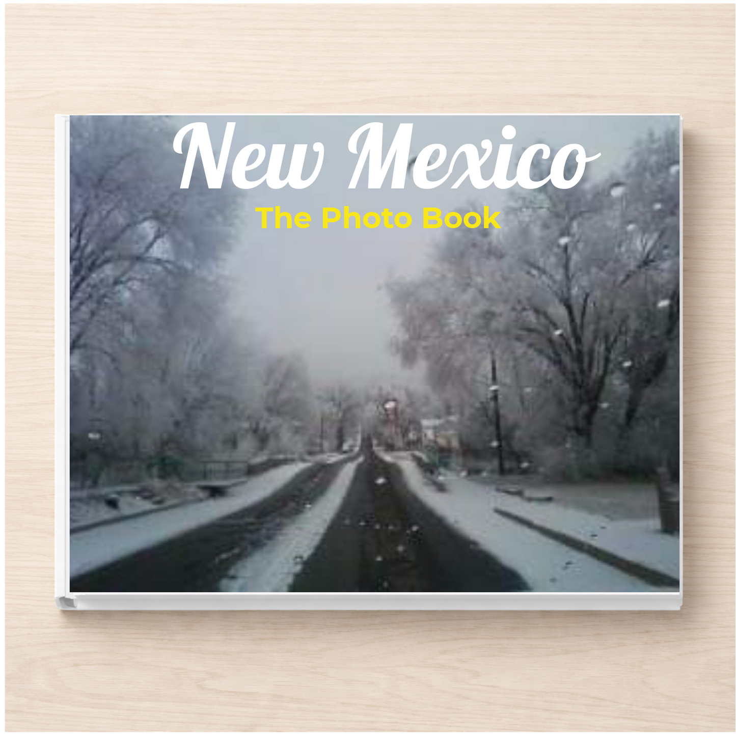 New Mexico: The Photo Book