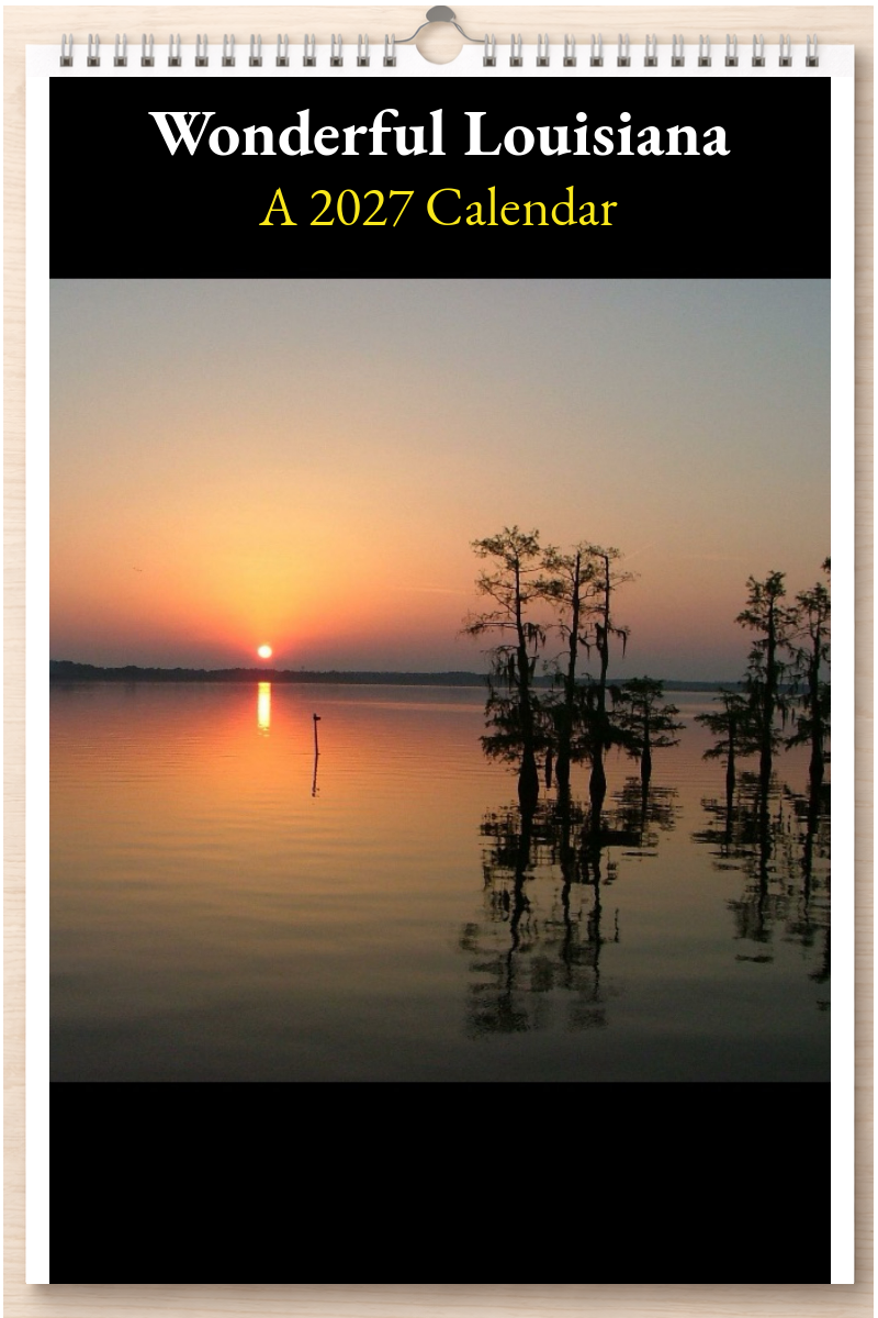 Wonderful Louisiana: A 2027 Calendar