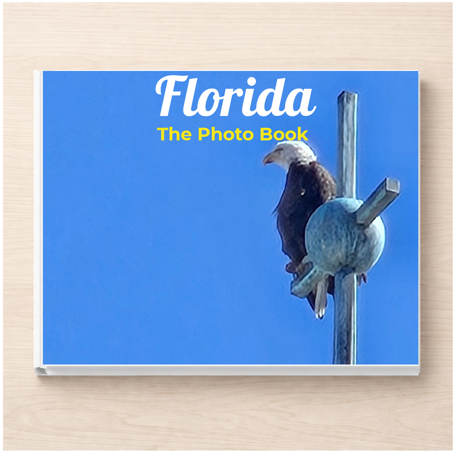 Florida: The Photo Book