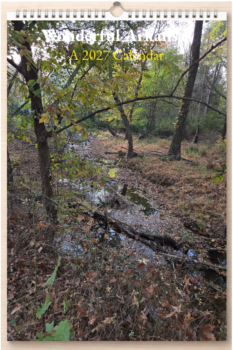 Wonderful Arkansas: A 2027 Calendar
