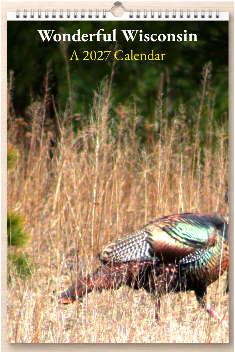 Wonderful Wisconsin: A 2027 Calendar