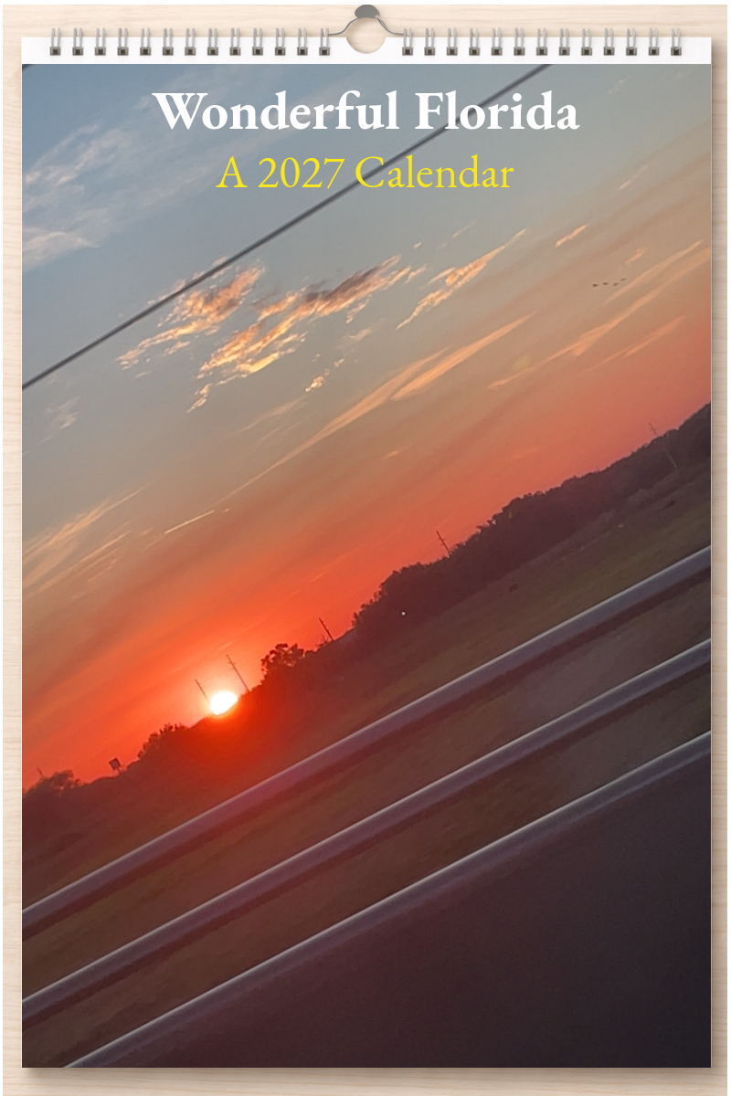 Wonderful Florida: A 2027 Calendar