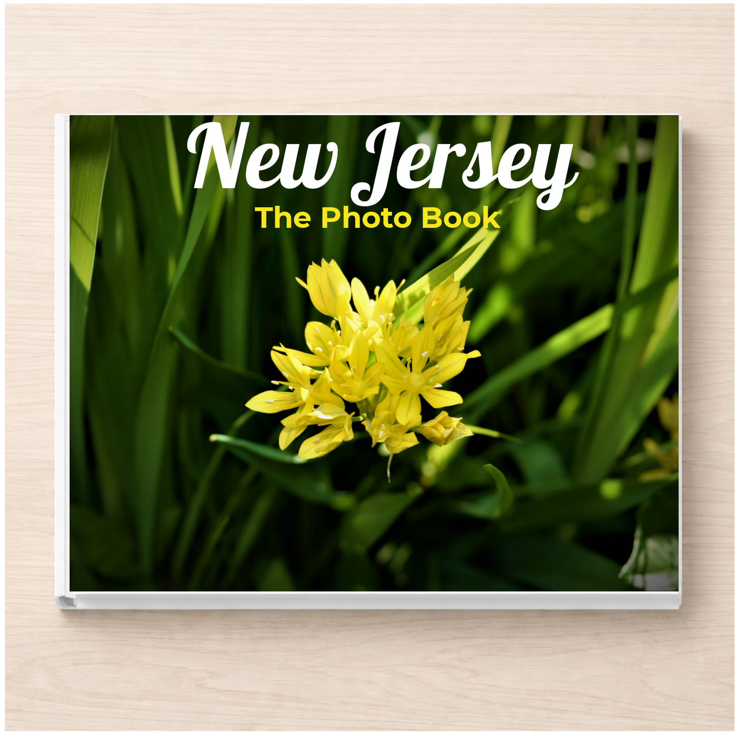 New Jersey: The Photo Book